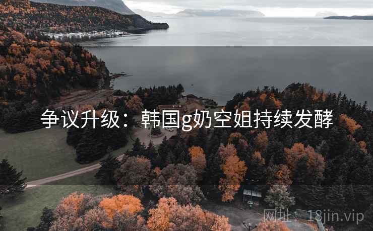 争议升级：韩国g奶空姐持续发酵