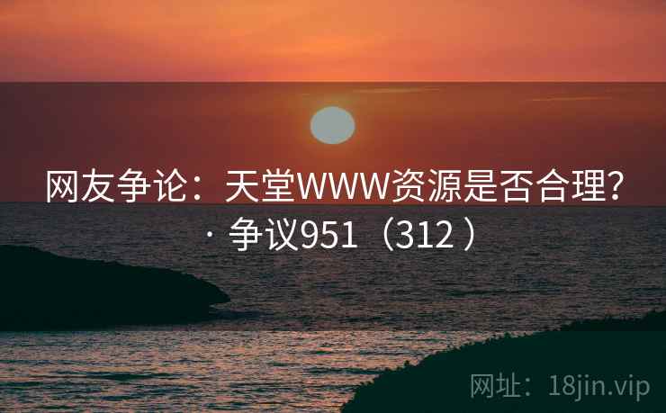 网友争论：天堂WWW资源是否合理？ · 争议951（312 ）