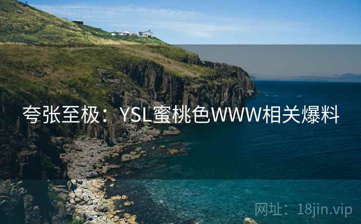 夸张至极：YSL蜜桃色WWW相关爆料